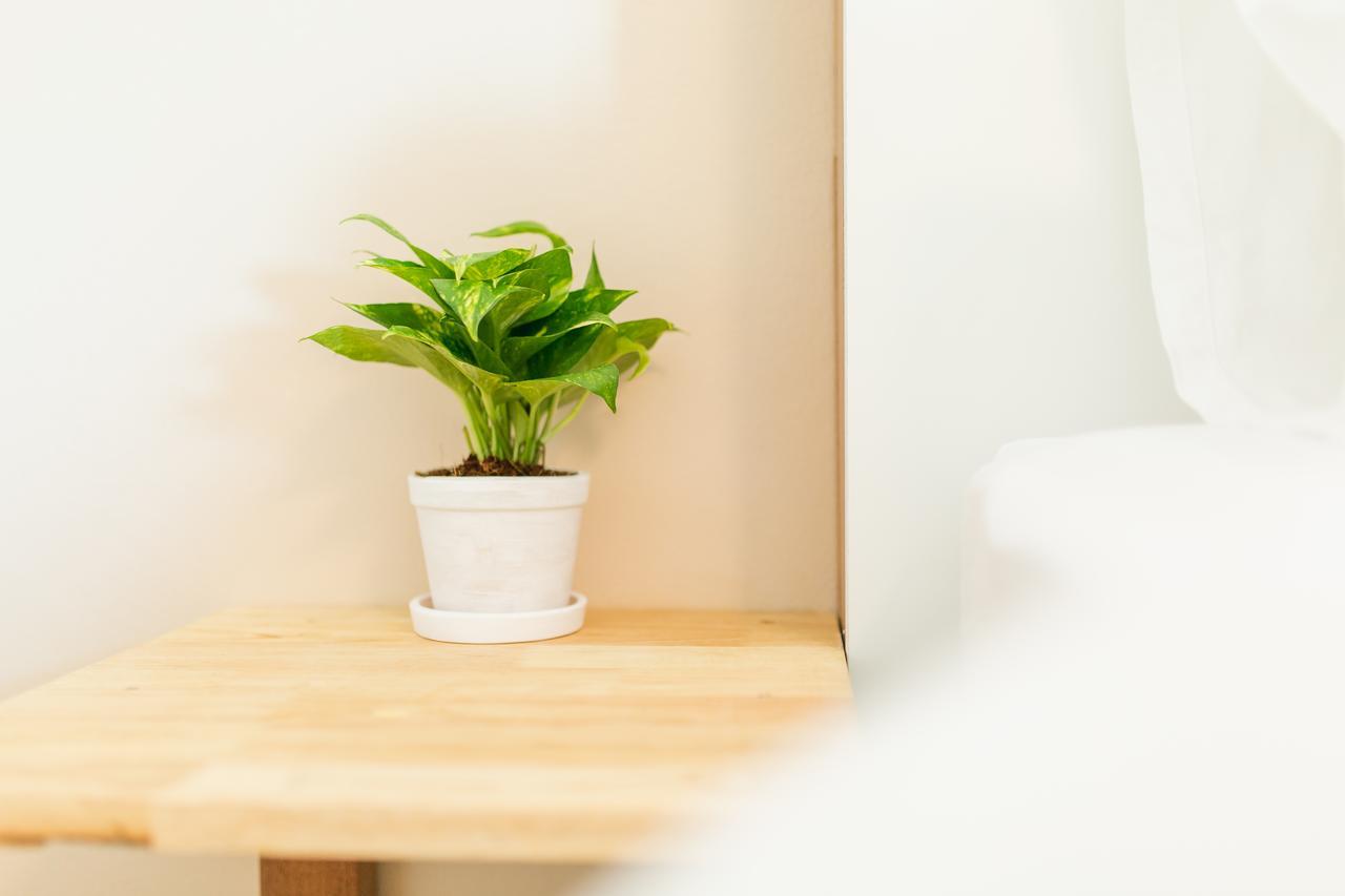 Habitat Hotel Chiang Mai Ngoại thất bức ảnh